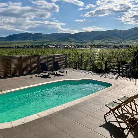 Gite Proche Colmar Vignoble Wettolsheim Esterno foto
